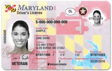 maryland dmv license renewal test